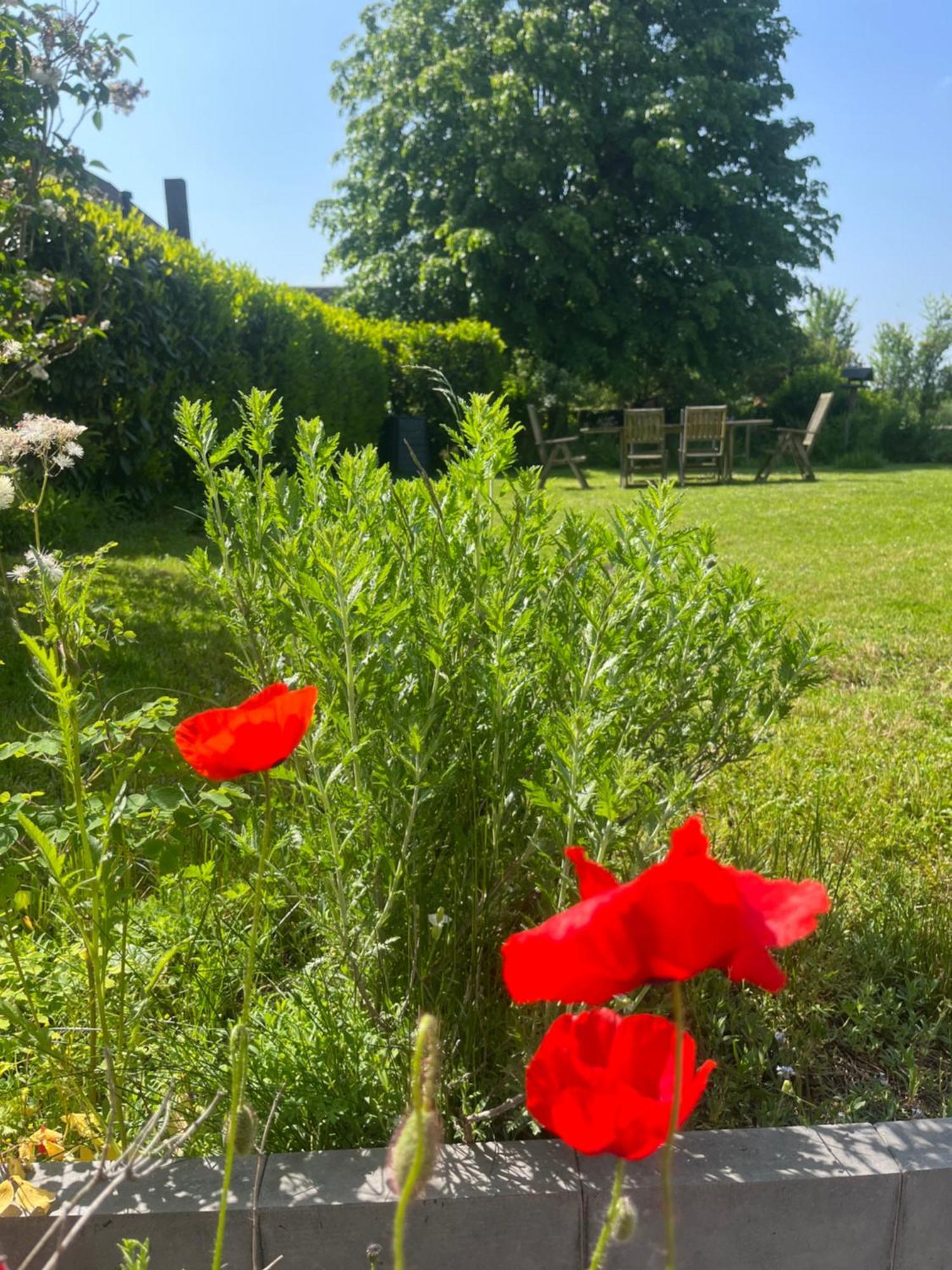 Hébergement de vacances Charmante Chapelle Amenagee A Eprave Rochefort